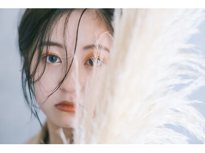 グラフィー(graphy)の写真